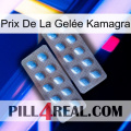 Prix De La Gelée Kamagra viagra4